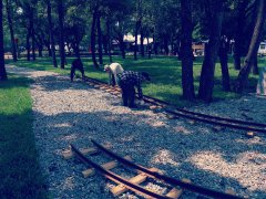 龍之盈游樂**產品：二代軌道小火車已經發往非洲