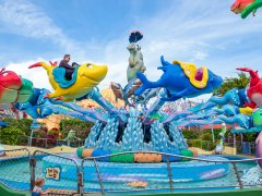 轉馬的異響使客人滿意度不高，如何化解